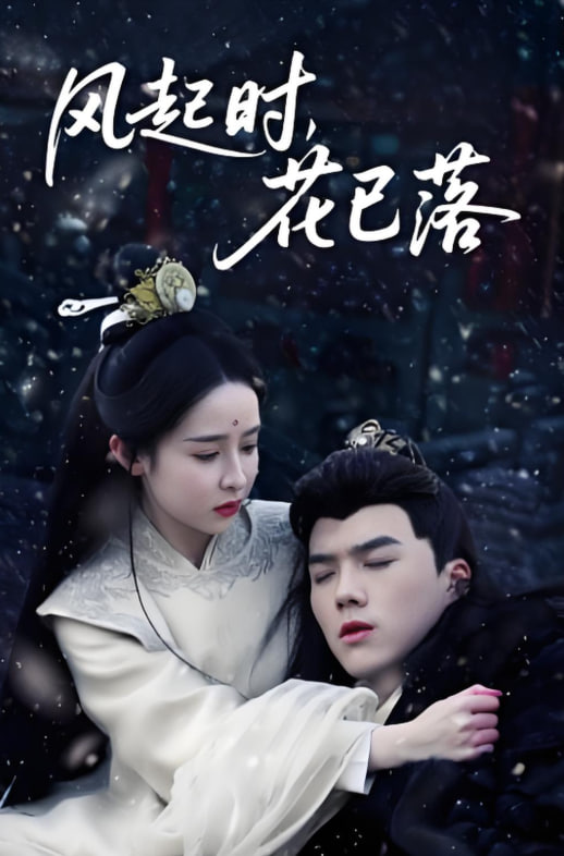 风起时，花已落