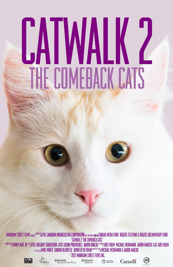 《猫步2:回归的猫》