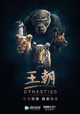 王朝第一季版